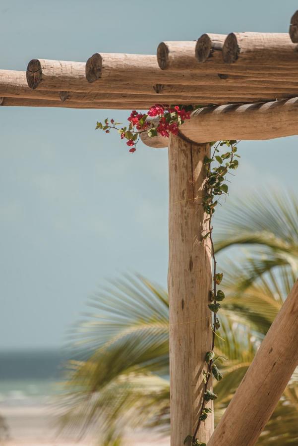 Laventana Tatajuba Hotel Luaran gambar